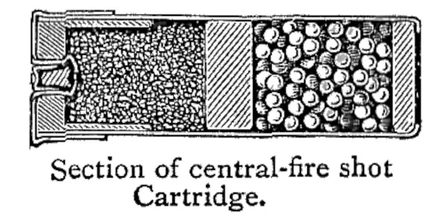 Cut Shells - Shell Cross Section